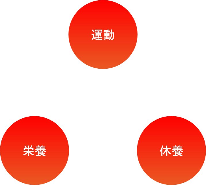 身体づくりに欠かせない3つの要素