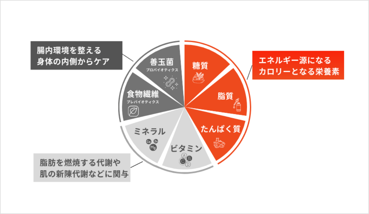 7大栄養素からアプローチ