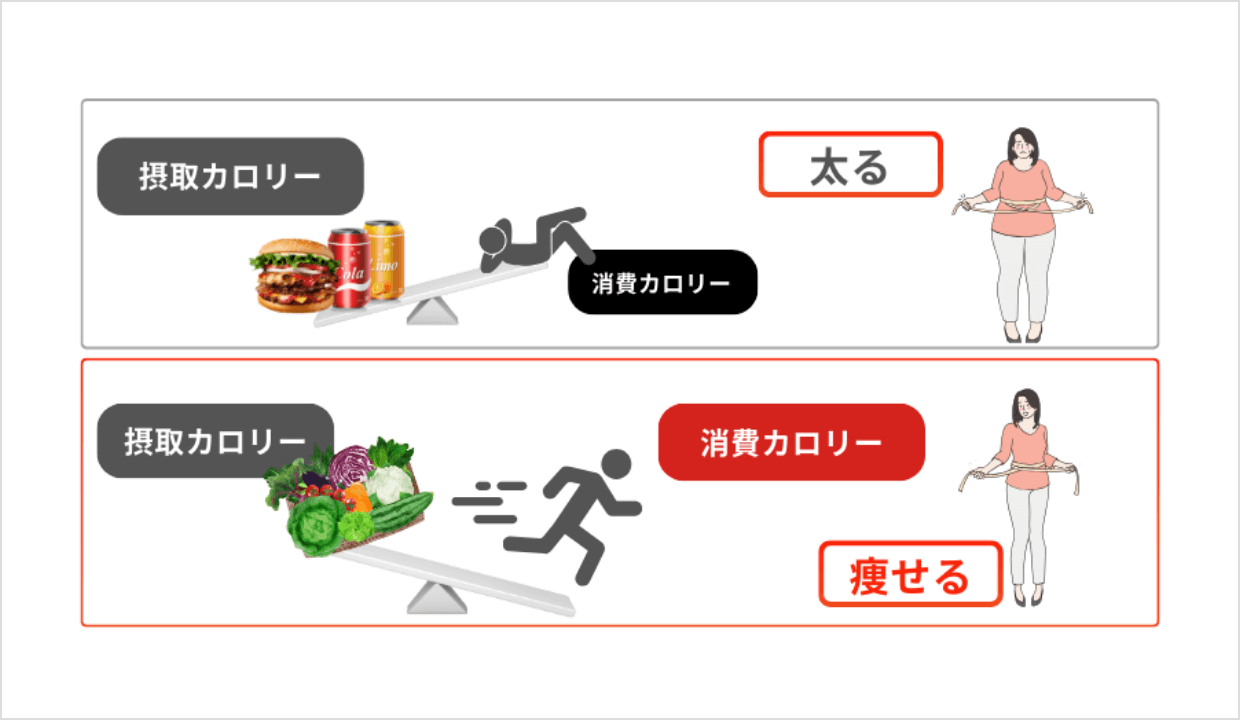 7大栄養素からアプローチ