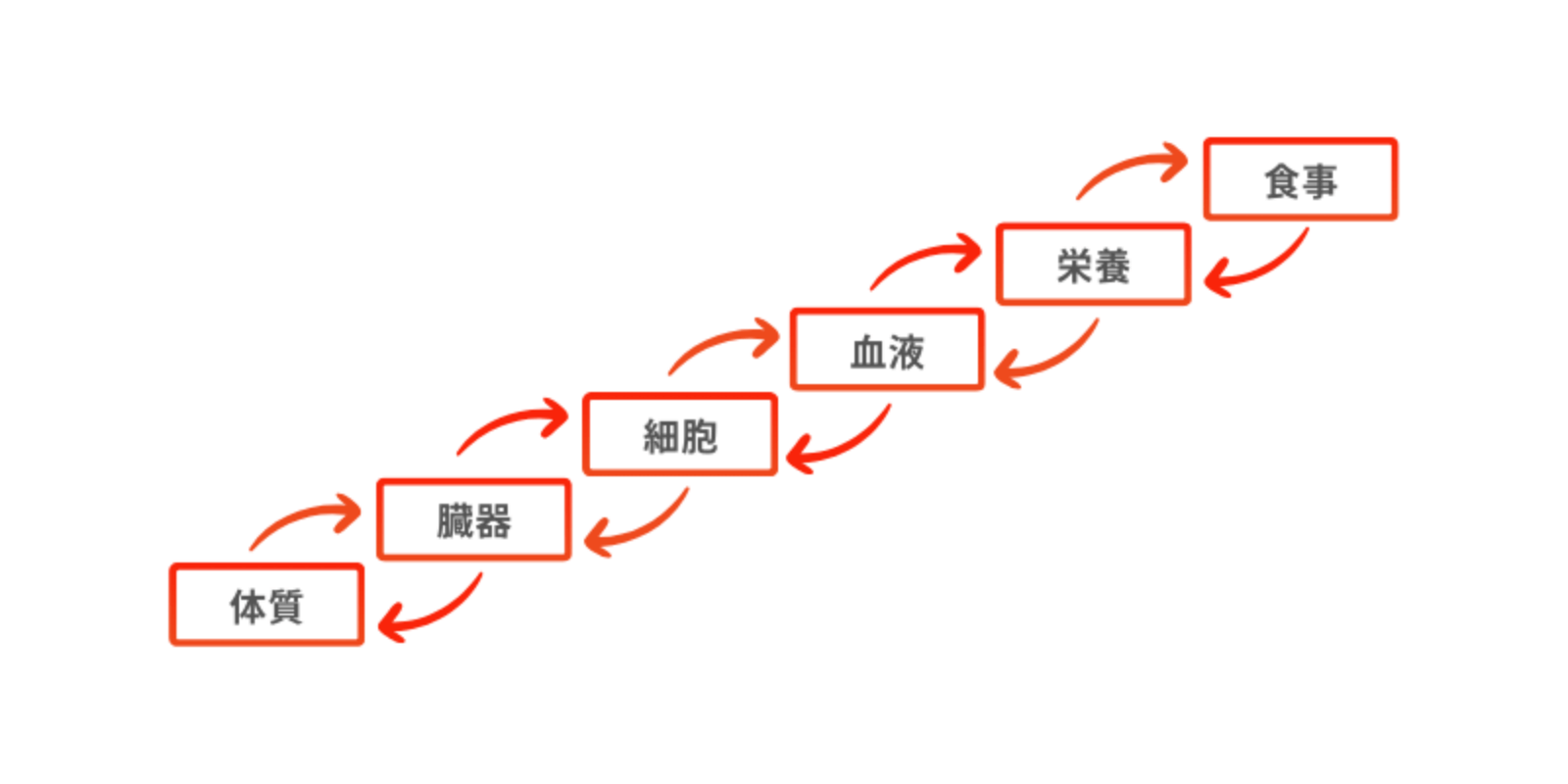 食事指導を行っている理由